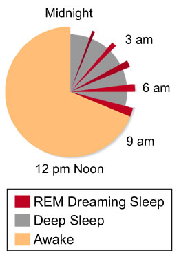 Circadian Rhythm Pie Chart of when you dream