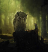 The Wise Owl