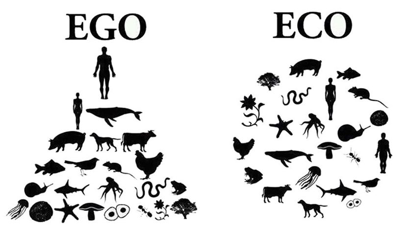 ego-vs-eco