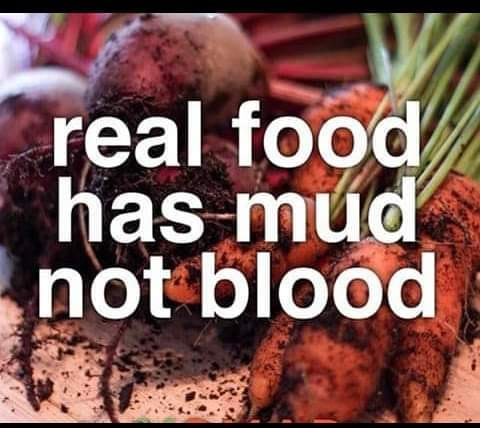 Real Food has Mud Not Blood