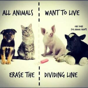 Erase The Dividing Line